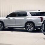 Safe Exit Assist (SEA)